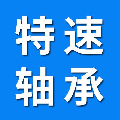 山東特速軸承制造有限公司