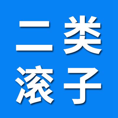 二類滾子、滾針、銷子