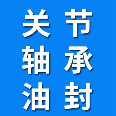 汪堤村關(guān)節(jié)軸承密封