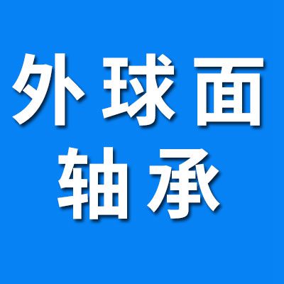 外球面軸承合套儀