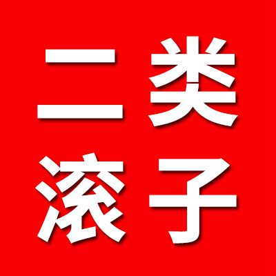 二類圓柱滾子