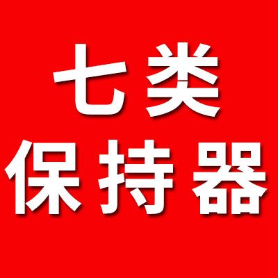 七類（原廠壓頂）保持器