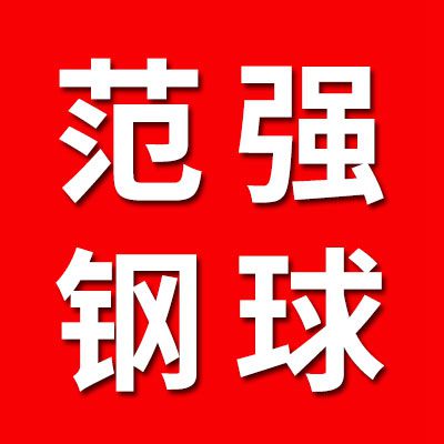 范強高精鋼球