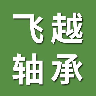 飛越軸承