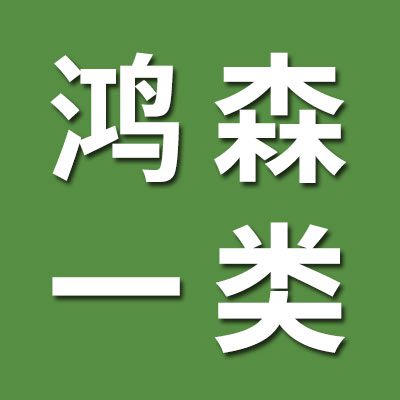 鴻森軸承一類、三類軸承