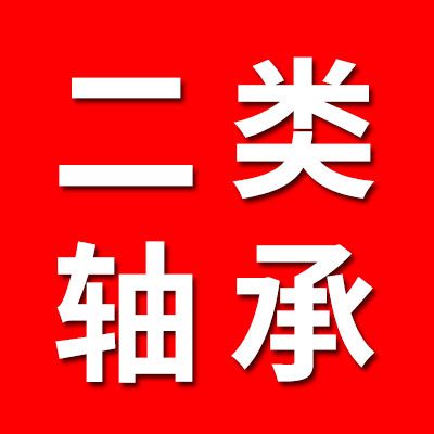 二類軸承 