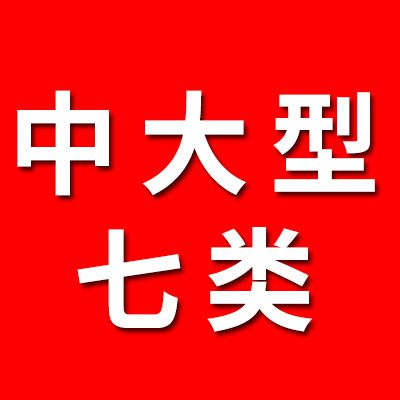 中大型七類軸承