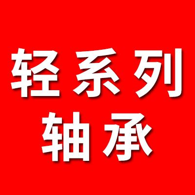 輕系列軸承大全