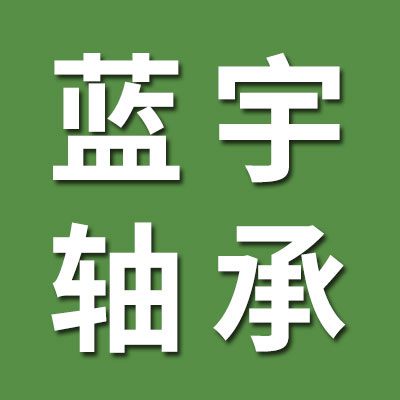 藍宇不銹鋼軸承
