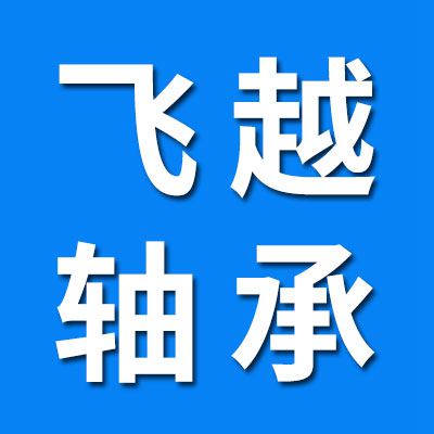 飛越微型軸承
