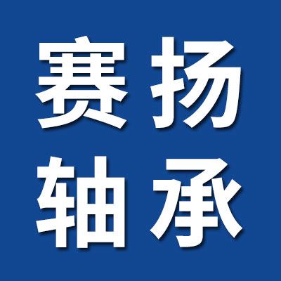 臨清市賽揚軸承有限公司