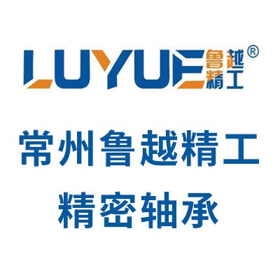 常州魯越精工精密軸承