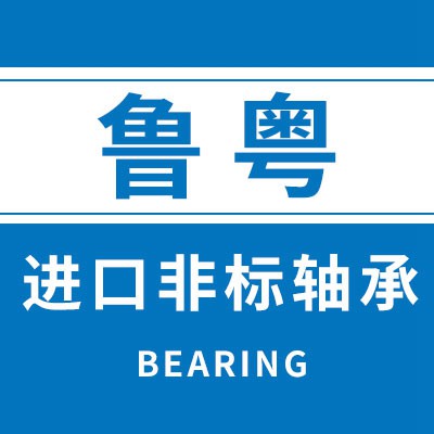 魯粵進口非標軸承