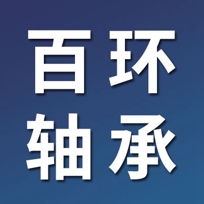 價(jià)格表（百環(huán)零類電機(jī)軸承）