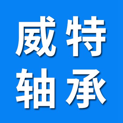威特單向軸承