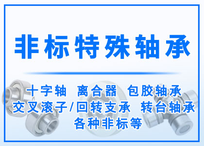  非標丨特殊丨異型軸承定做