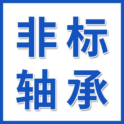 專業非標帶槽軸承