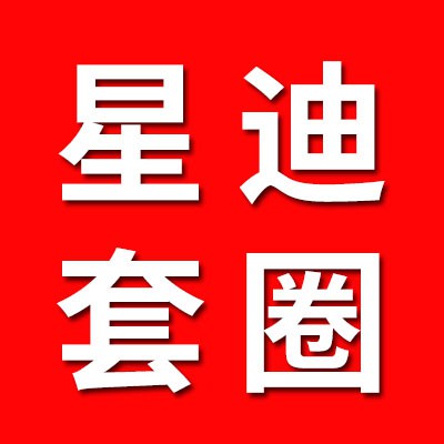 臨清星迪軸承制造有限公司