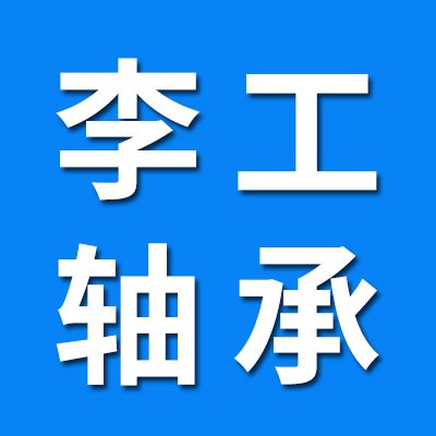 山東李工軸承有限公司