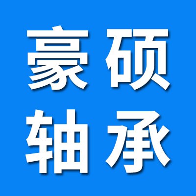 豪碩深溝球、電機(jī)軸承