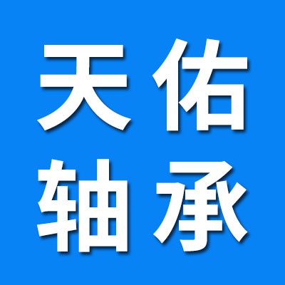 天佑高端零類電機(jī)軸承