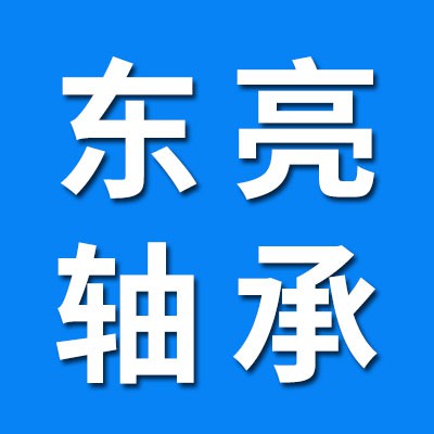 東亮二類軸承