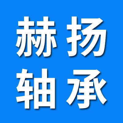 赫揚七類國標非標軸承大全