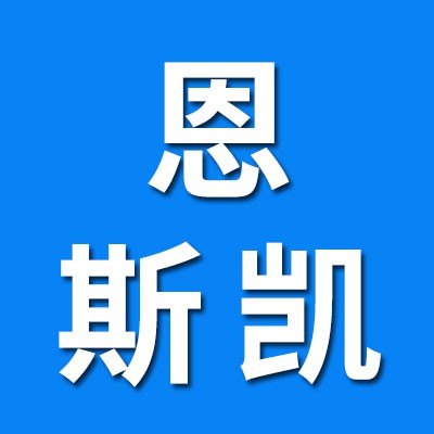  青島恩斯凱進(jìn)口軸承