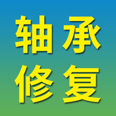 奧迪電子方向機新軸承